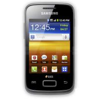 Подробнее о Экран для Samsung Galaxy Y Duos S6101 дисплей без тачскрина
