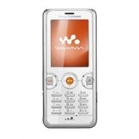 Подробнее о Экран для Sony Ericsson M680i дисплей