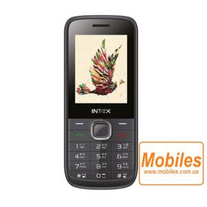 Экран для Intex Focus V дисплей