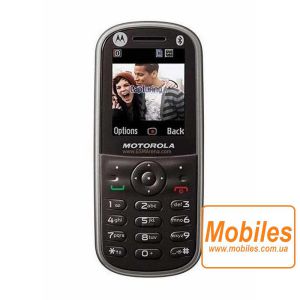 Экран для Motorola Moto WX288 дисплей