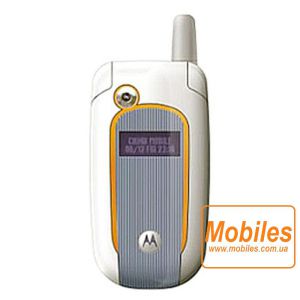 Экран для Motorola V501 дисплей