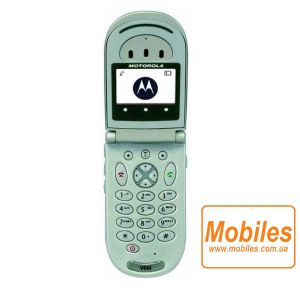 Экран для Motorola V66i дисплей